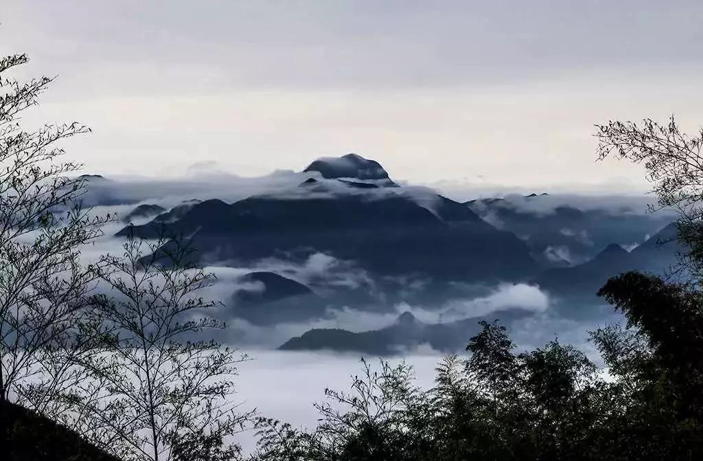 邓薇|梯田|洋溪镇_新浪新闻