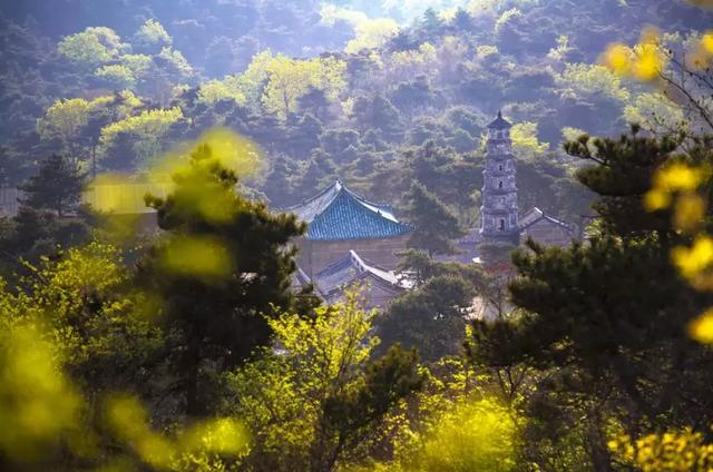 魅力池上,四季美景!养了眼,醉了心... ..|鲁山_新浪新闻