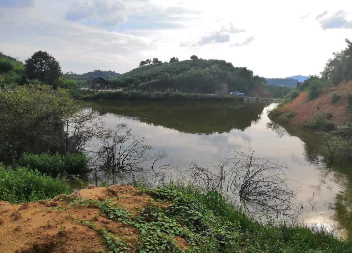 秋季选钓位别死守"铧尖",这几个地方比铧尖更藏鱼