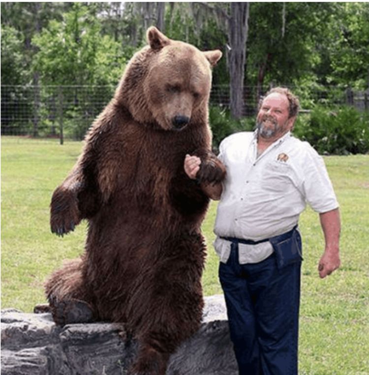 男子脖子被北极熊咬住,众人看得提心吊胆,结果却叫人暖心!