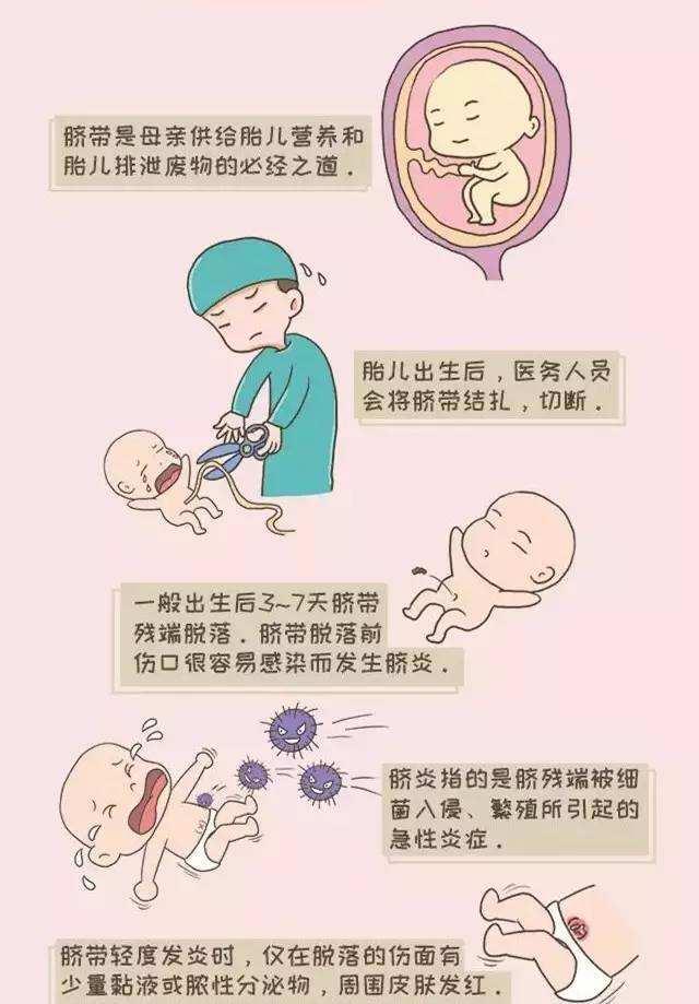 那你就out啦|脐带|脐部|酒精_新浪新闻