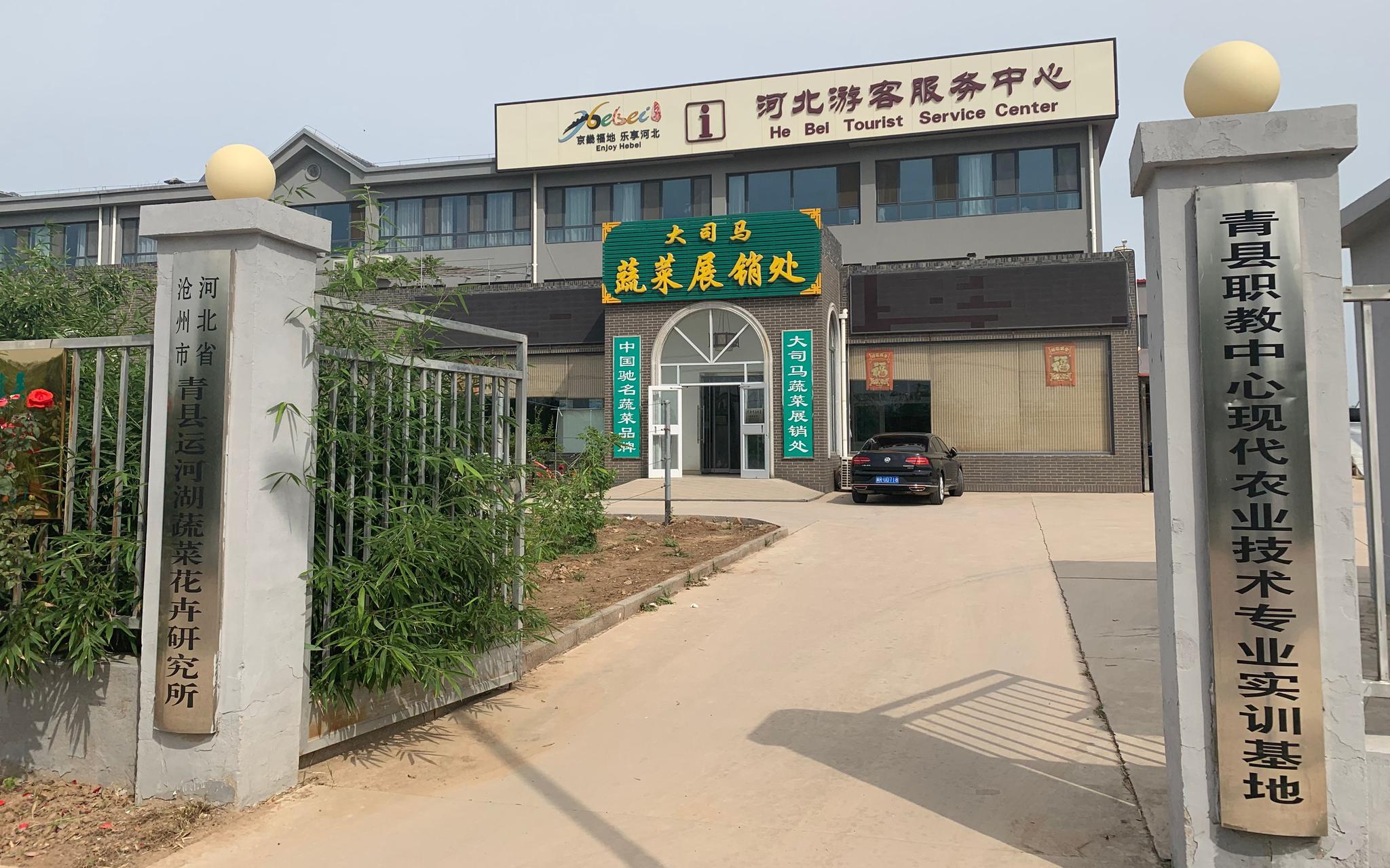 司马庄村上班签合同种菜告别凌晨起床的日子