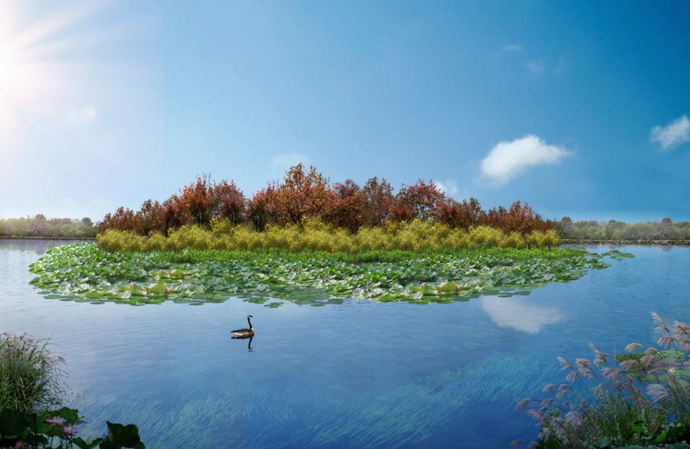 亦庄通明湖3座小岛等你命名