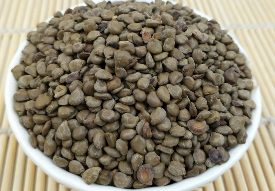 农村荒地常见的野扁豆人称望江南种子入药能明目和降血压