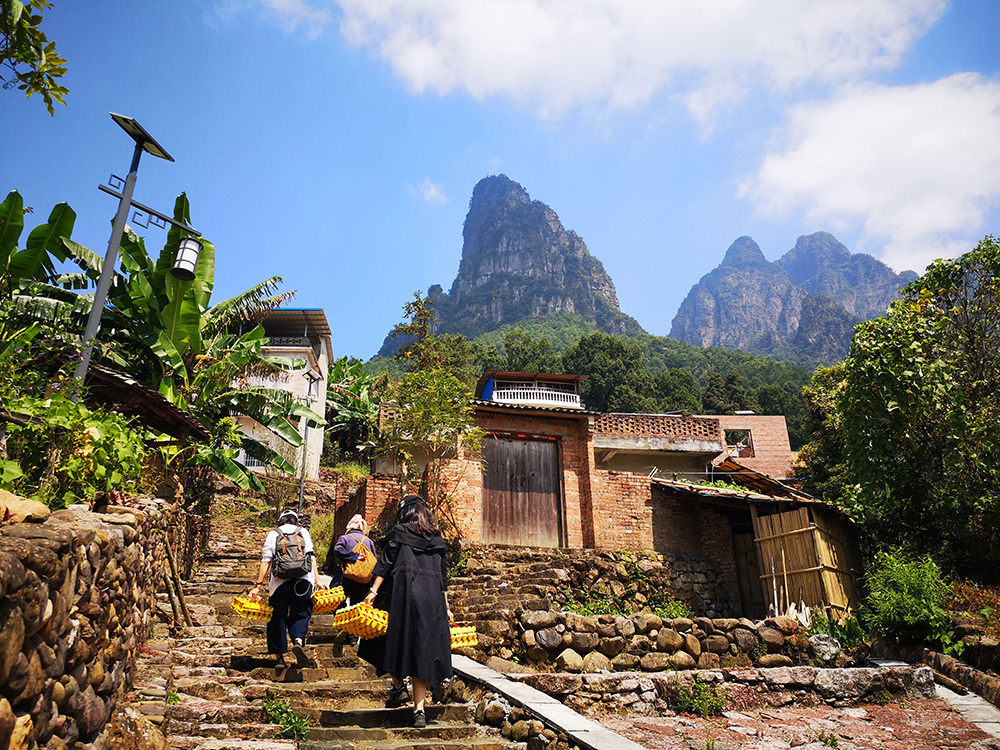 请给我一个秋天,带你去金秀