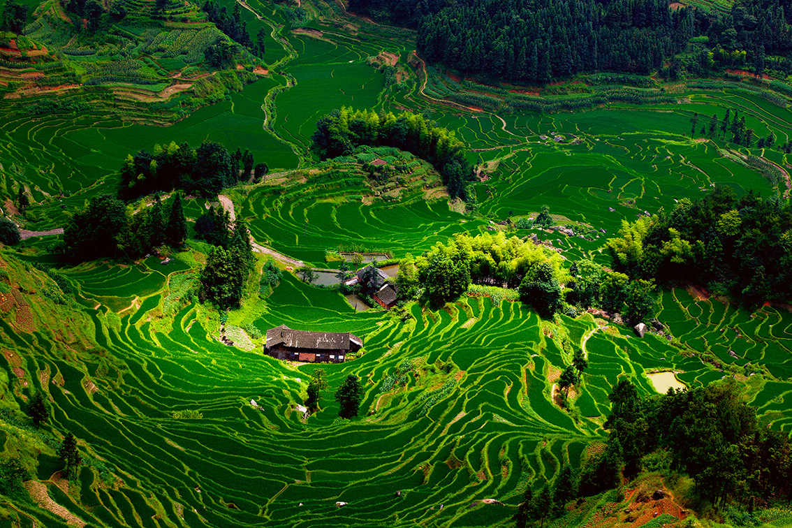 娄底首届风光摄影展——紫鹊界:好山水自风流|紫鹊界|山水|梯田_新浪