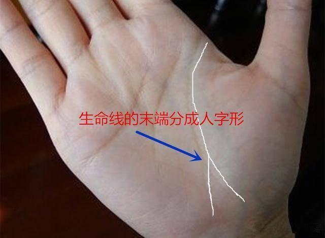 坎坷大的,命运波折,坎坷多,老年病多感情线末端代表婚姻,此处"凤尾纹"