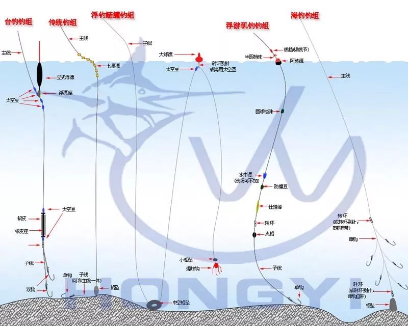 中年人钓鱼能有多疯狂