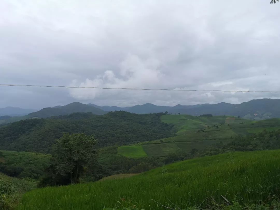 糯福乡离缅甸已经很近了,可以直达缅甸的第二和第四特区.