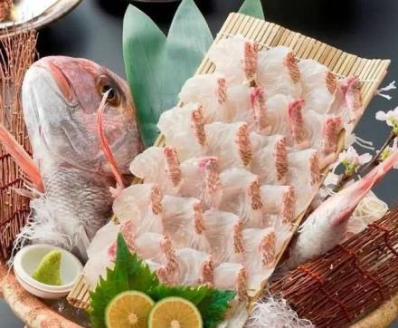 真鲷刺身鱼您吃过?