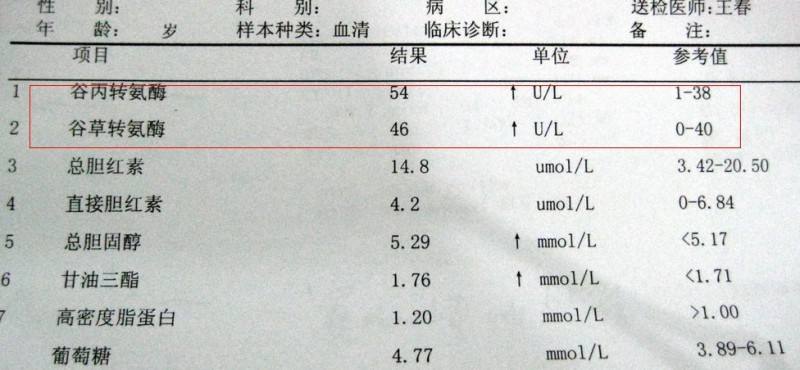 转氨酶异常,免疫应答反应开始,正确解读乙肝小三阳