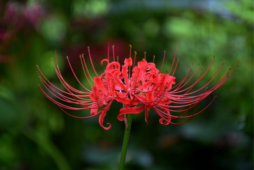 未来半年财运如潮,小财积累成势,4属相越来越有钱,实现富豪梦