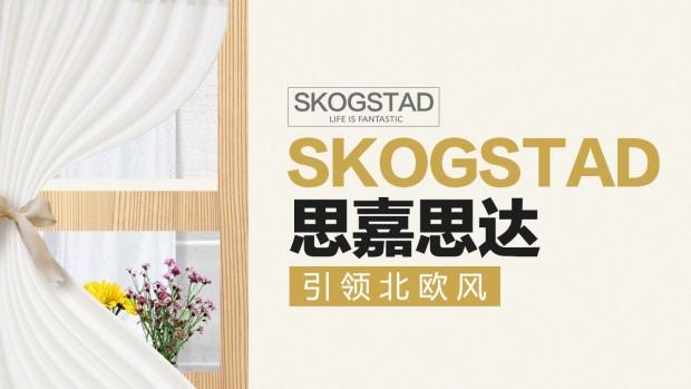 小家电时代下skogstad思嘉思达助你走进智能化新时代