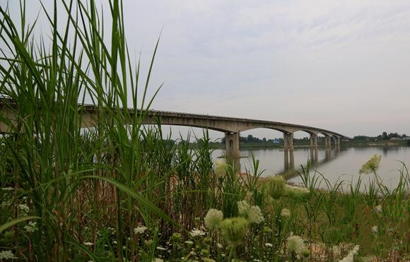 湖南沅江:洞庭湖上桥如虹|白沙|白沙大桥|胡长庚_新浪新闻
