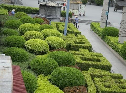 深圳凤岩古庙,最早用来救济穷人的地方!|凤凰山|凤凰_新浪新闻