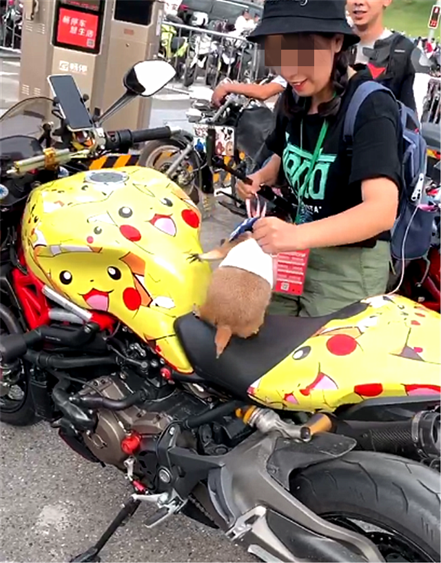 重庆摩博会首台皮卡丘版杜卡迪马力150匹车主还是女骑