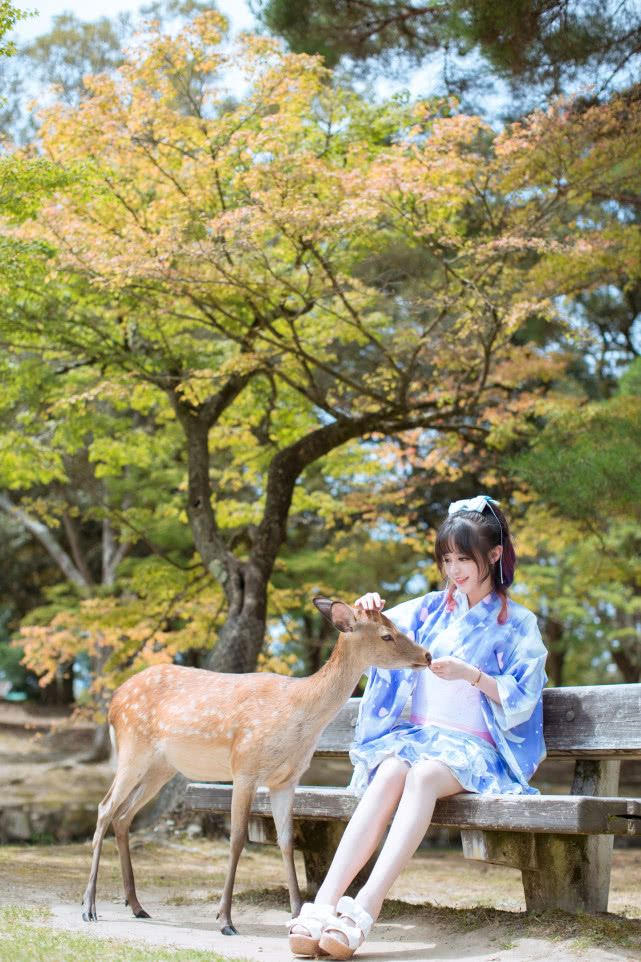 cos:京都·奈良篇 小鹿鹿超心机,投喂的时候会一直朝你鞠躬