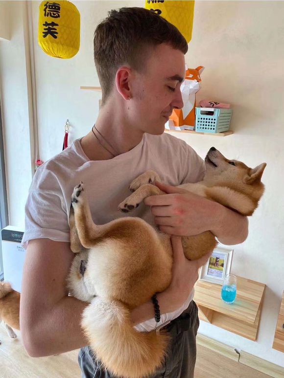 小伙非常喜欢柴犬没事的时候就抱着它跟抱小孩一样