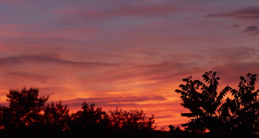 在世界能为中国代言的家电产业:没有夕阳西下,而是朝阳正红!