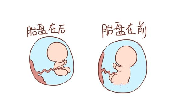胎盘前壁或者后壁,会影响胎儿性别?医生透露实情,孕妈别装无知