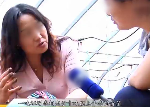 女博士放弃200万年薪,会山东老家养蚯蚓,如今养殖规模达10个棚休闲区蓝鸢梦想 - Www.slyday.coM 女博士放弃200万年薪,会山东老家养蚯蚓,如今养殖规模达10个棚休闲区蓝鸢梦想 - Www.slyday.coM