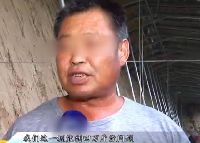 女博士放弃200万年薪,会山东老家养蚯蚓,如今养殖规模达10个棚休闲区蓝鸢梦想 - Www.slyday.coM 女博士放弃200万年薪,会山东老家养蚯蚓,如今养殖规模达10个棚休闲区蓝鸢梦想 - Www.slyday.coM