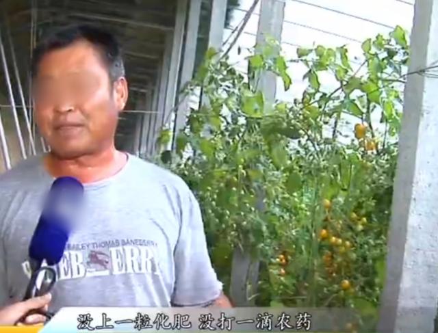 女博士放弃200万年薪,会山东老家养蚯蚓,如今养殖规模达10个棚休闲区蓝鸢梦想 - Www.slyday.coM 女博士放弃200万年薪,会山东老家养蚯蚓,如今养殖规模达10个棚休闲区蓝鸢梦想 - Www.slyday.coM