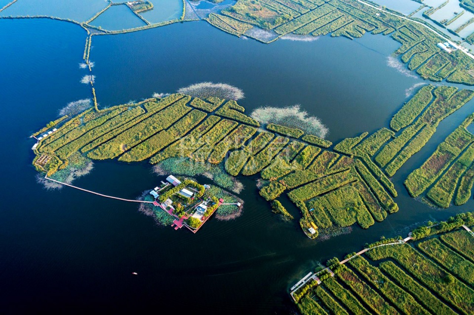 雄安新区白洋淀:国庆节游客爆满,无人机航拍停车场汽车如蚂蚁|雄安新