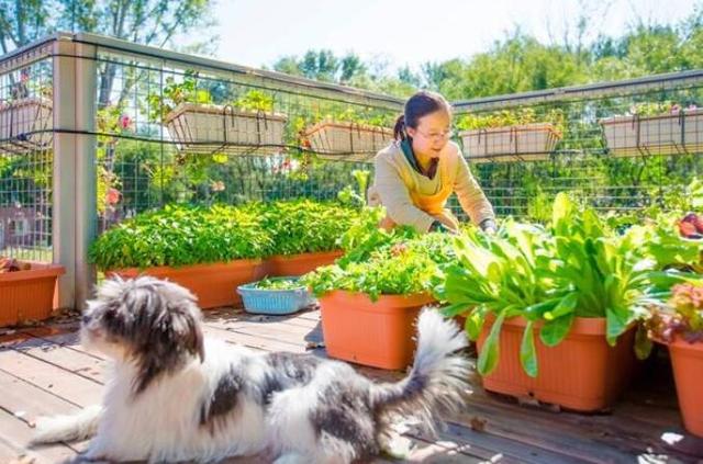 53岁大叔买不起房,不得已用6个集装箱,造了个200平的豪宅