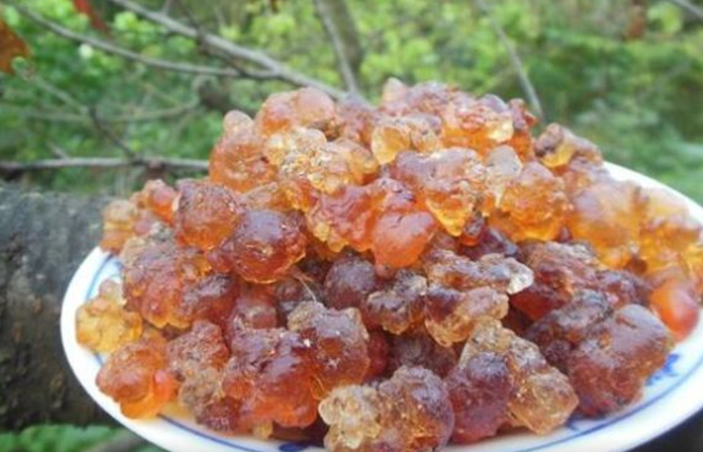 农村一种不值钱的树胶,进城后却变成"宝",上班族吃它缓解压力