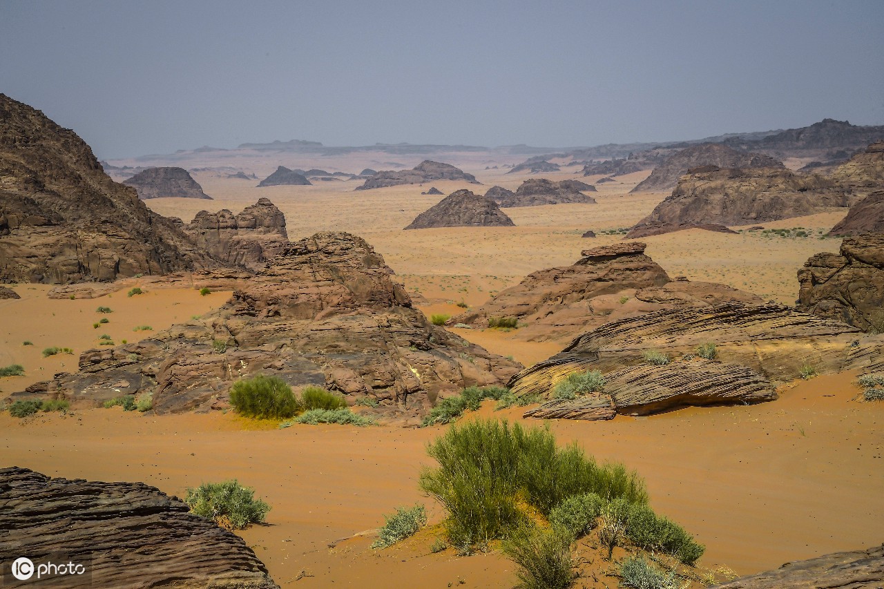 沙特阿拉伯2020年达喀尔越野拉力赛