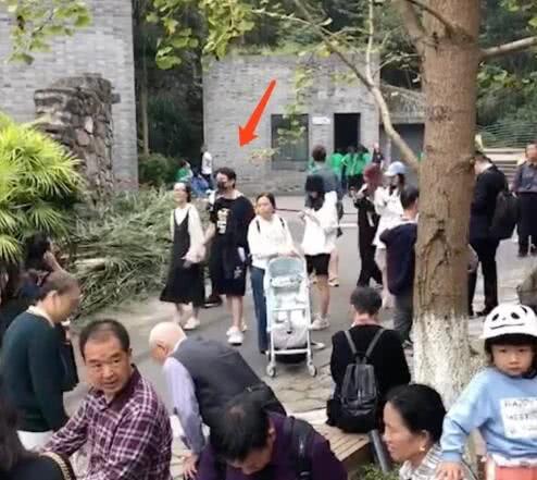 王思聪十一假期带新女友看大熊猫,两人手牵手,不避讳旁人目光