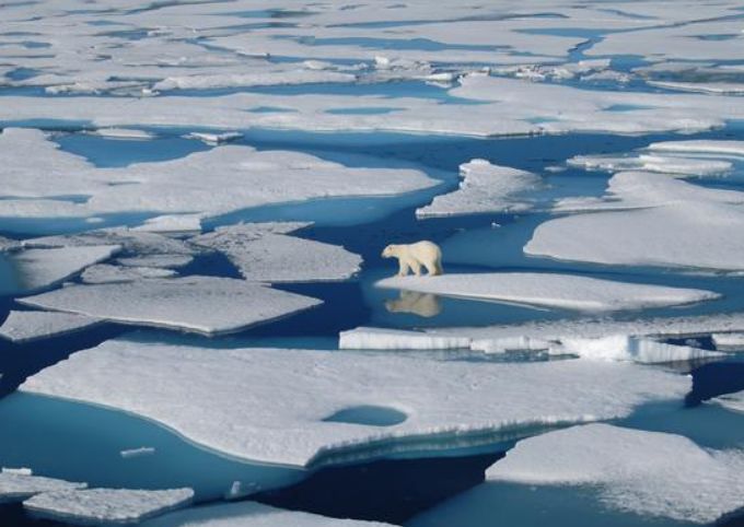 南极洲冰雪融化后,发现本不该出现的东西,科学家:人类必须警惕