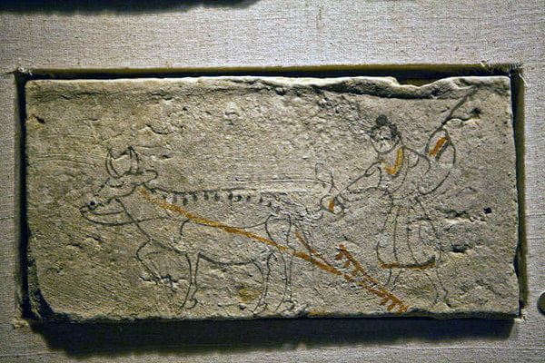 西面壁画龙首下有一轮明月居中,一只白色的蟾蜍仰面静静地躺在月宫里