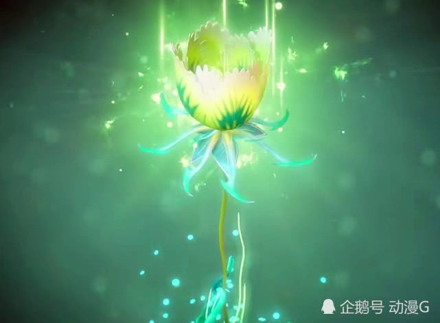 宁风致想买绮罗郁金香唐三的一句话引起骨斗罗不满