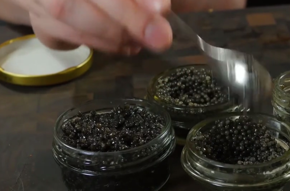 实拍俄罗斯人吃鱼子酱过程抱起桶直接灌看着就很过瘾