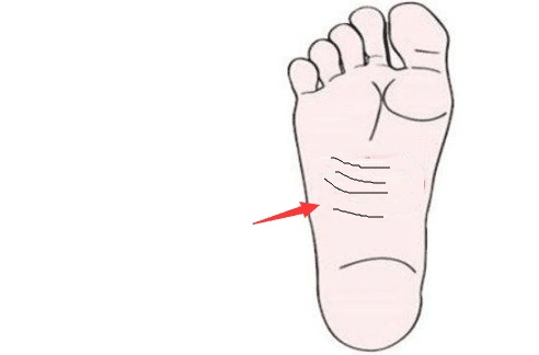 身体此处无肉,没钱没地位,生活得窝囊,让人瞧不起|脚掌|印堂|臀部