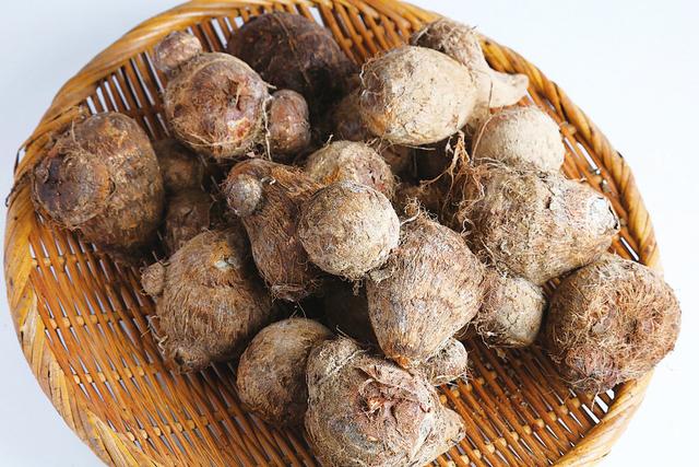 才10元4斤,常吃除口臭,排宿便还对牙齿好|芋头|牙齿|木薯粉_新浪新闻