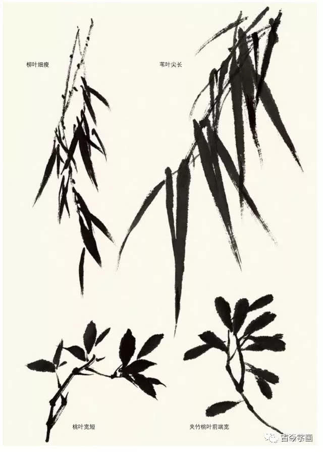 名家教你画竹，从简单画起
