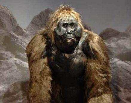 史前巨猿到底有多恐怖身高达4米老虎狮子根本就不敢靠近