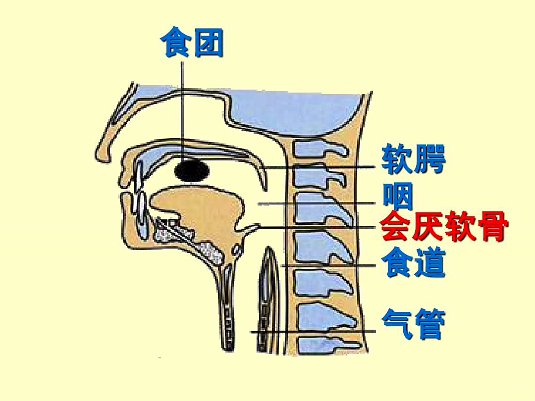 3岁以下宝宝吃这些食物无异于投毒大部分宝妈都疏忽了