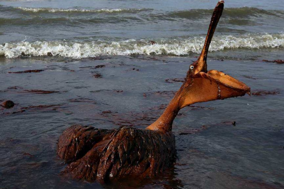 墨西哥湾出现神秘的"海中湖",被称作"生命禁区",无人敢靠近