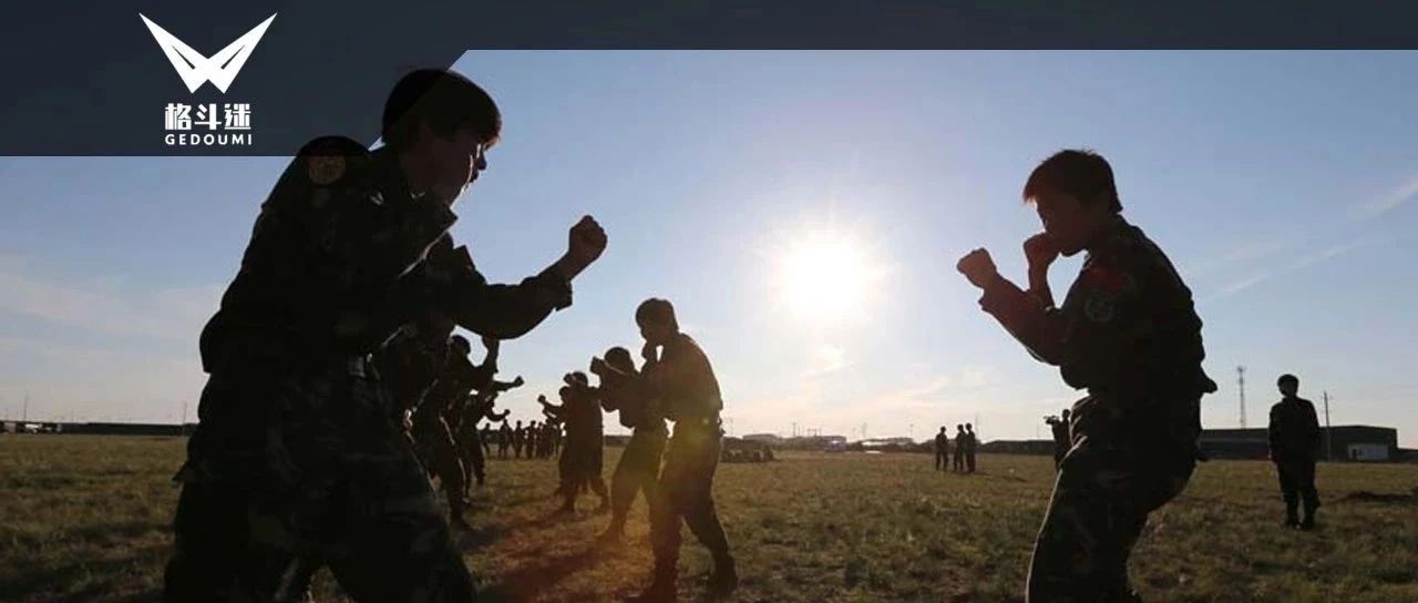 获嘉seo搜索引擎