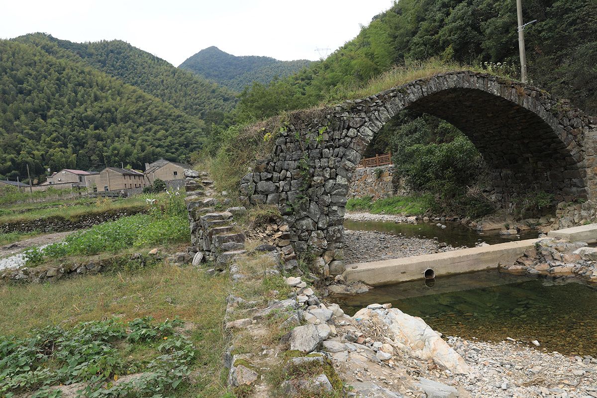 县江源丛林,欲登第一尖,惊吓而返|奉化|新昌|大公_新浪新闻