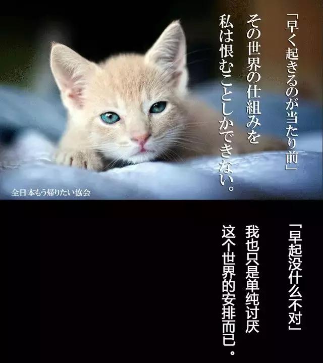 一份看了会不想上班的文案可能就是节后此刻你的写照