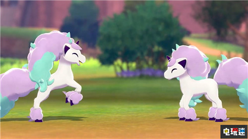 彩虹小马宝可梦盾独占伽勒尔地区小火马公开
