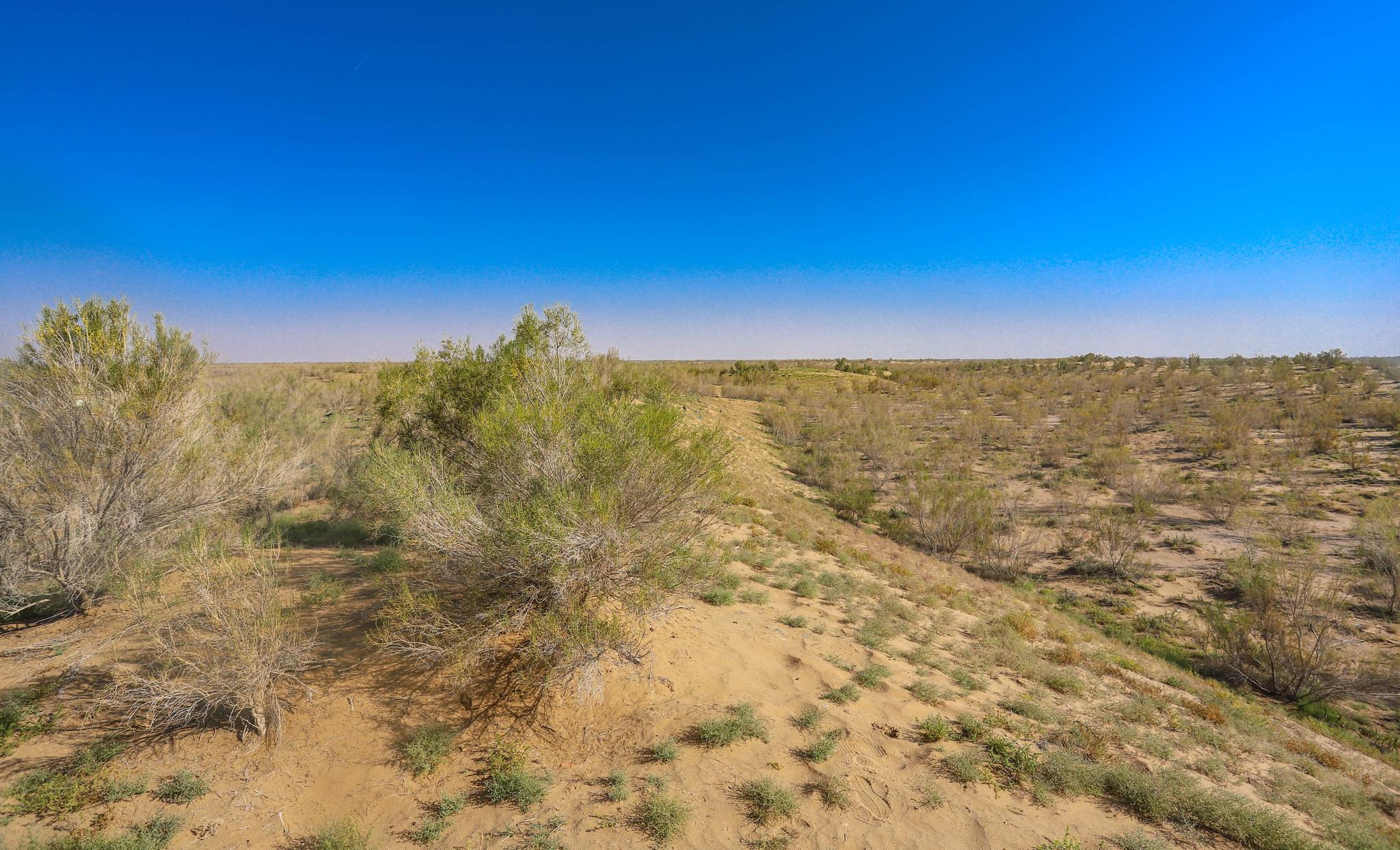 甘肃被低估了的城市,戈壁沙漠雪山人文都有,来到这里瞬间被惊艳