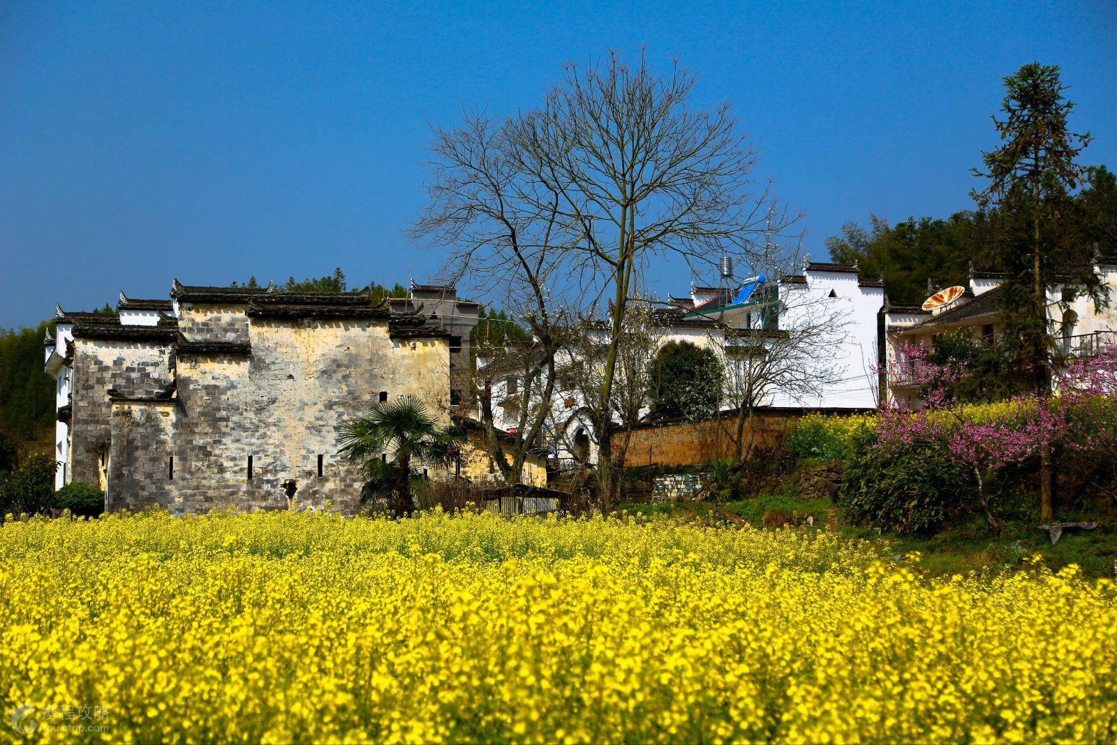 为什么去江西旅游的人多,旅游收入却那么少?