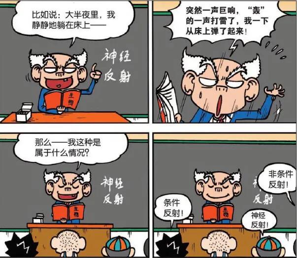呆头农场:夜半惊坐起原来是"诈尸",四字要求做到三个爷爷哭了