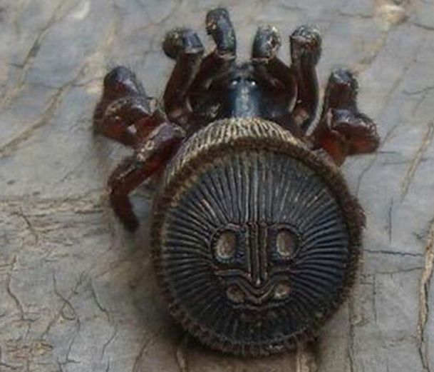 雌雄体之比的变化幅度较小.